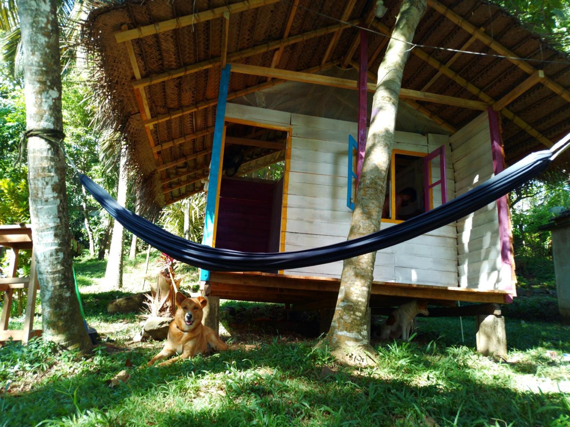 Hidden Well Hiriketiya Hostel Dikwella Luaran gambar