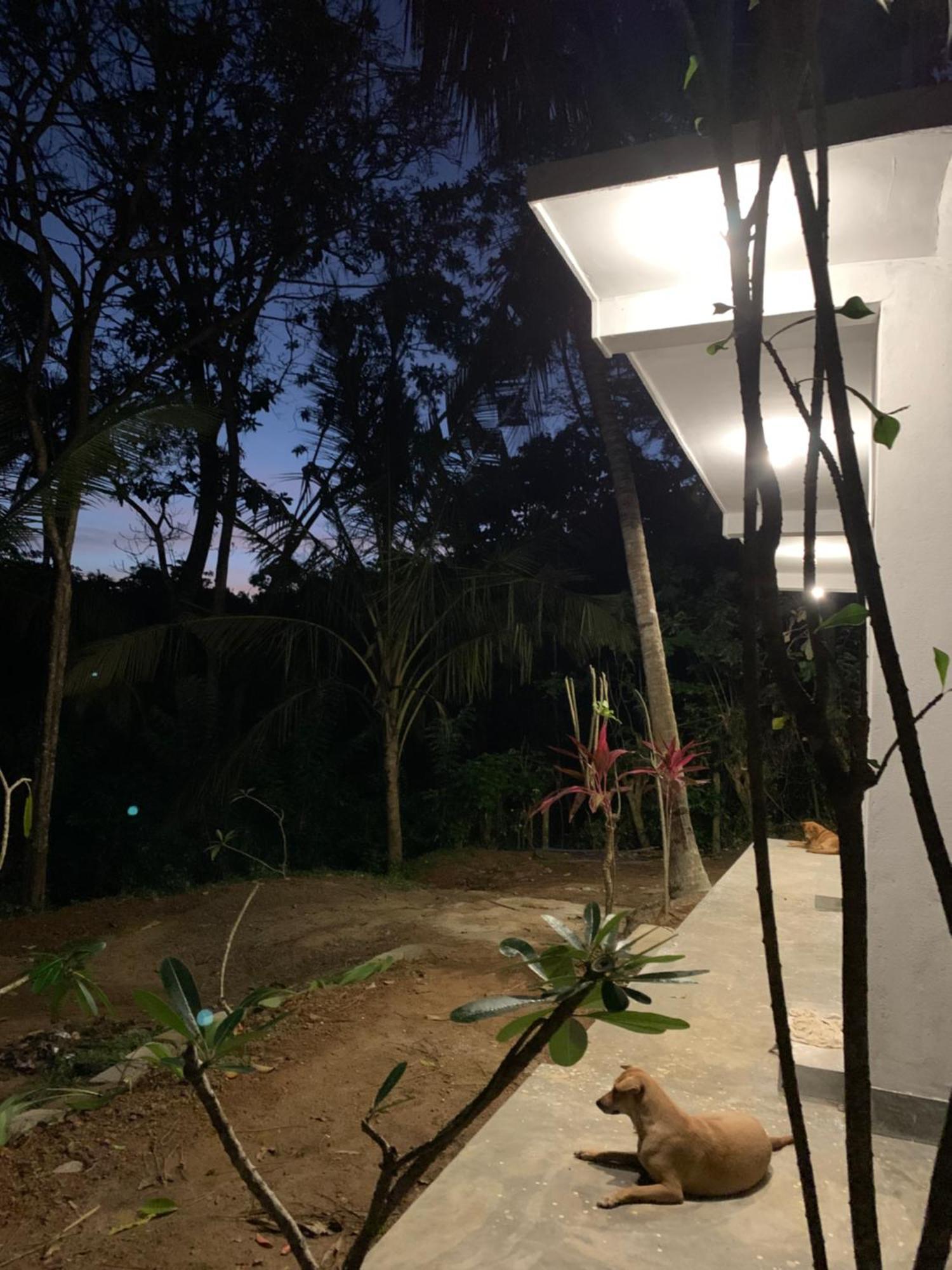 Hidden Well Hiriketiya Hostel Dikwella Luaran gambar
