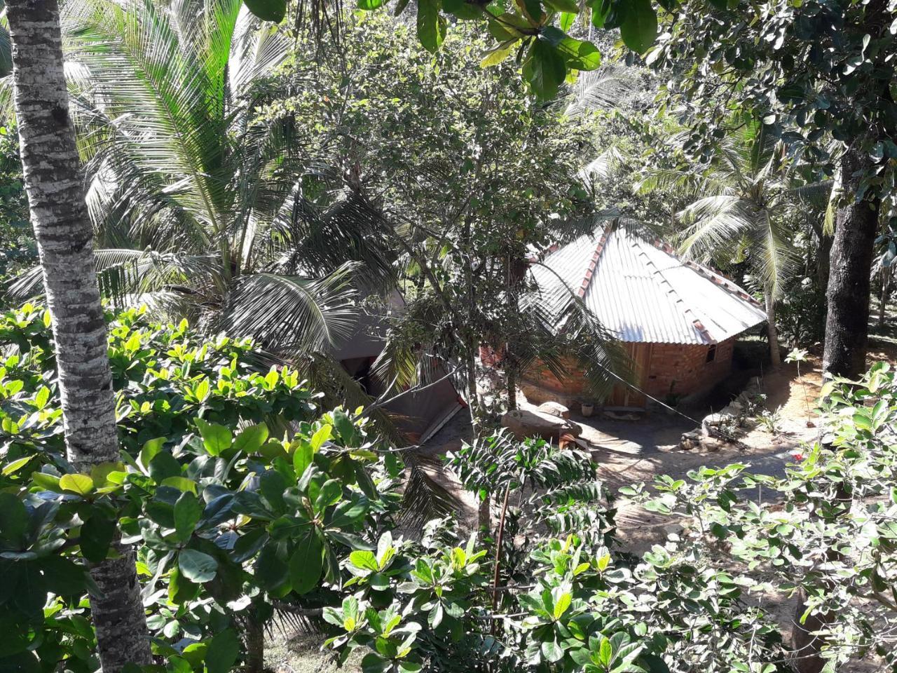 Hidden Well Hiriketiya Hostel Dikwella Luaran gambar