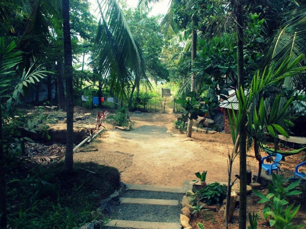 Hidden Well Hiriketiya Hostel Dikwella Luaran gambar