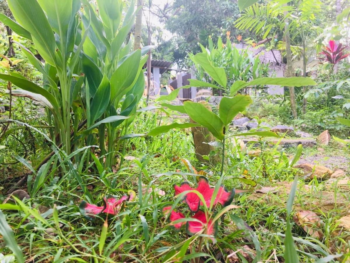 Hidden Well Hiriketiya Hostel Dikwella Luaran gambar