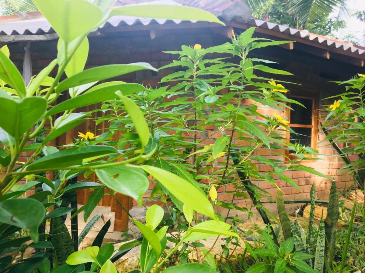 Hidden Well Hiriketiya Hostel Dikwella Luaran gambar