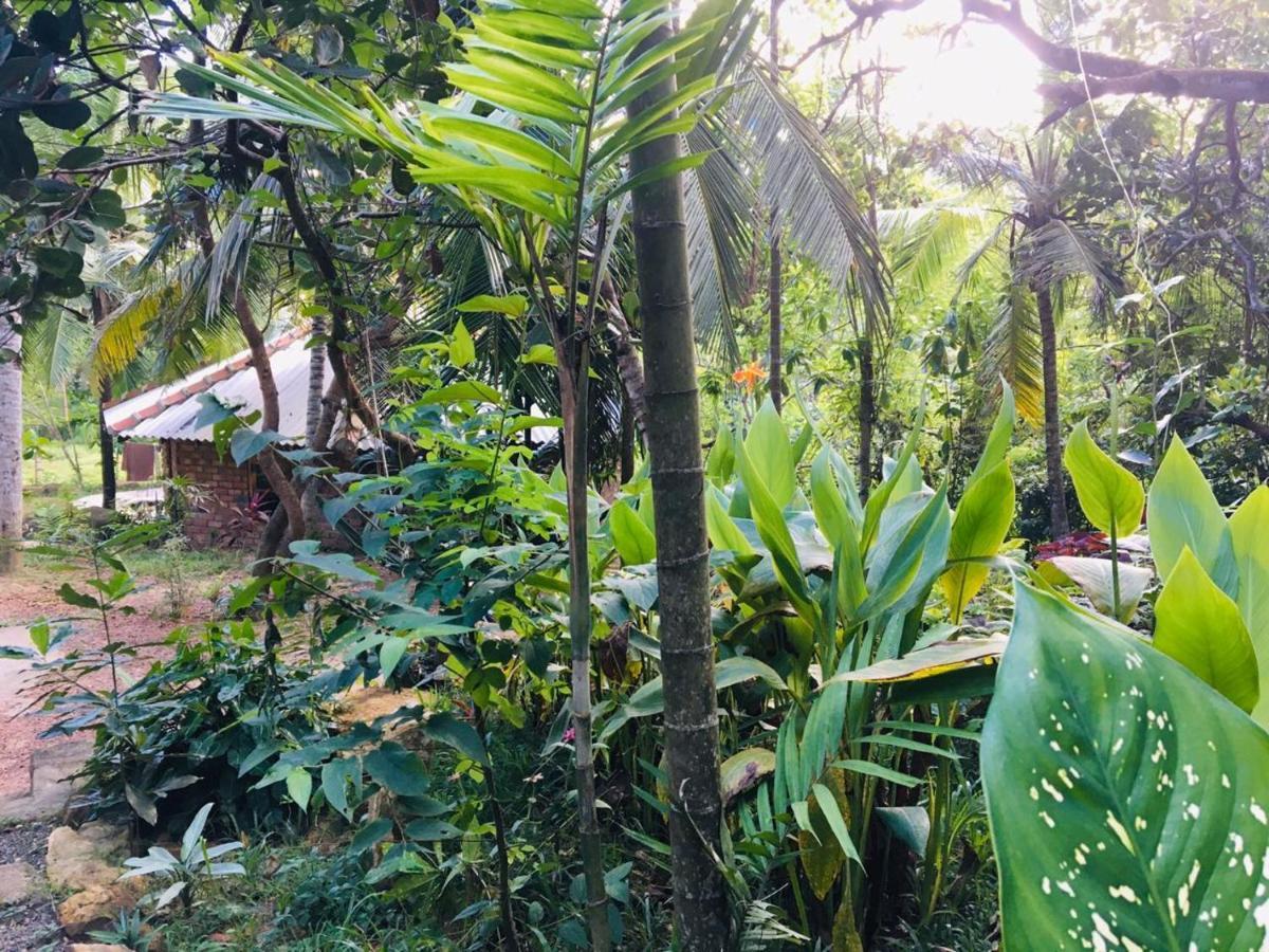 Hidden Well Hiriketiya Hostel Dikwella Luaran gambar